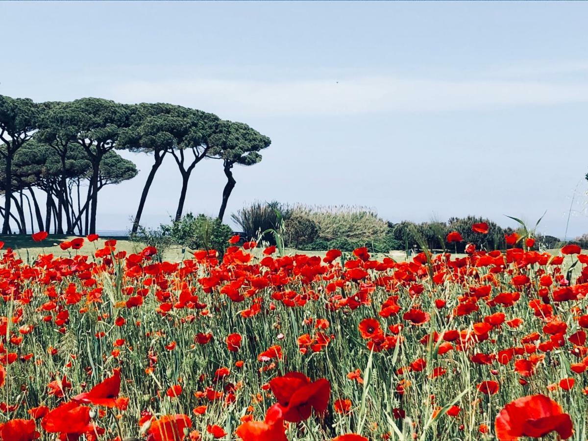 La Casa Nel Castello E Il Giardino Segreto Vila Suvereto Exterior foto
